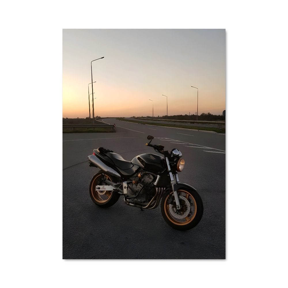 Poster magnifique Cbf Hornet